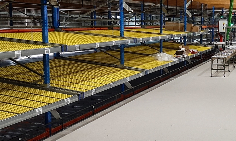 2D shuttle warehouse and automated picking guarantee for full traceability